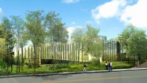 This illustration shows a planned building at Vassar, which will be built into a wooded area, and will use special Ornilux Mikado glass that reflects UV light visible to birds.
