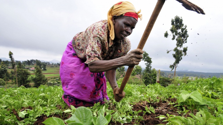 Afrika’da Güvenli Gıda Sağlanmasında Kadınların Rolü